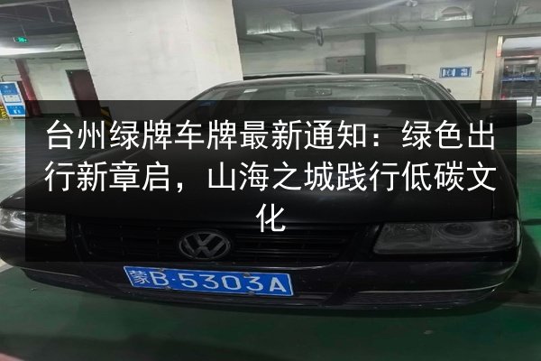台州绿牌车牌最新通知：绿色出行新章启，山海之城践行低碳文化