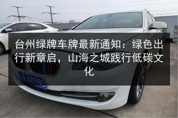 台州绿牌车牌最新通知：绿色出行新章启，山海之城践行低碳文化 第3张