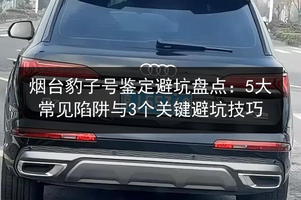 烟台豹子号鉴定避坑盘点：5大常见陷阱与3个关键避坑技巧 第2张