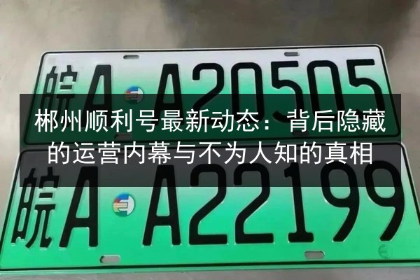 郴州顺利号最新动态：背后隐藏的运营内幕与不为人知的真相 第3张