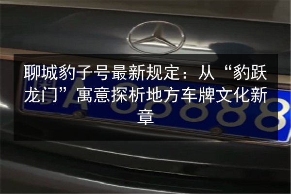聊城豹子号最新规定：从“豹跃龙门”寓意探析地方车牌文化新章 第3张