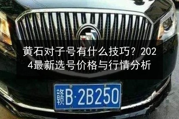 黄石对子号有什么技巧?2024最新选号价格与行情分析 第3张 黄石对子号有什么技巧?2024最新选号价格与行情分析 第3张