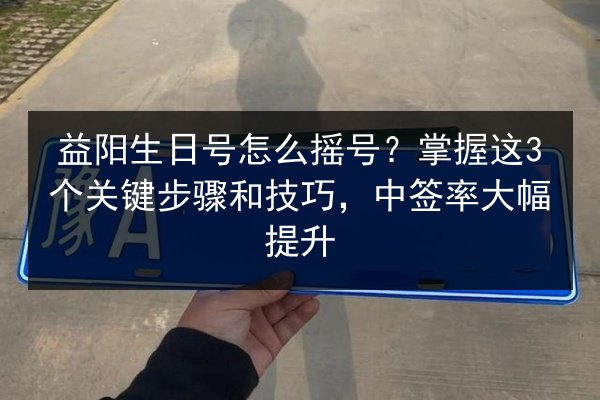益阳生日号怎么摇号？掌握这3个关键步骤和技巧，中签率大幅提升 第3张