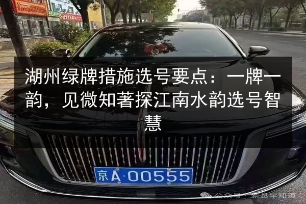 湖州绿牌措施选号要点：一牌一韵，见微知著探江南水韵选号智慧 第2张