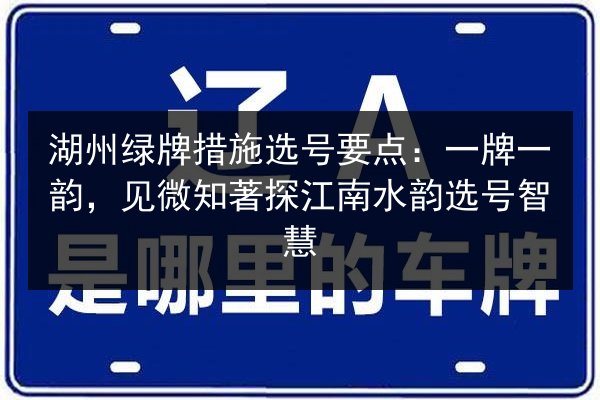 湖州绿牌措施选号要点：一牌一韵，见微知著探江南水韵选号智慧 第3张