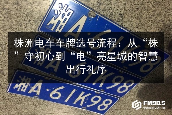 株洲电车车牌选号流程:从“株”守初心到“电”亮星城的智慧出行礼序 第2张 株洲电车车牌选号流程:从“株”守初心到“电”亮星城的智慧出行礼序 第2张