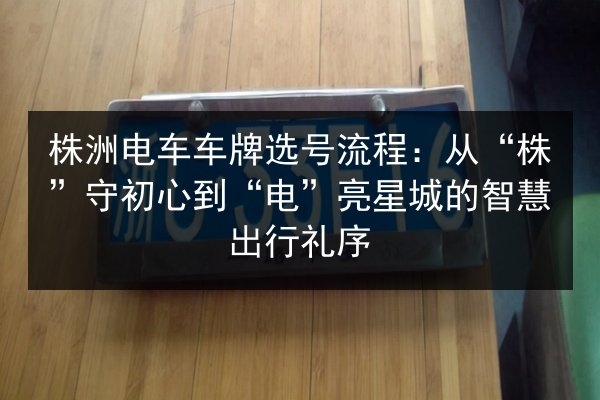 株洲电车车牌选号流程:从“株”守初心到“电”亮星城的智慧出行礼序 第3张 株洲电车车牌选号流程:从“株”守初心到“电”亮星城的智慧出行礼序 第3张