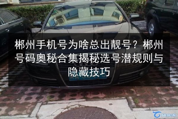郴州手机号为啥总出靓号？郴州号码奥秘合集揭秘选号潜规则与隐藏技巧