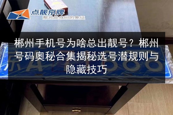 郴州手机号为啥总出靓号?郴州号码奥秘合集揭秘选号潜规则与隐藏技巧 第2张 郴州手机号为啥总出靓号?郴州号码奥秘合集揭秘选号潜规则与隐藏技巧 第2张