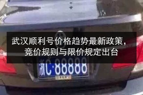 武汉顺利号价格趋势最新政策，竞价规则与限价规定出台