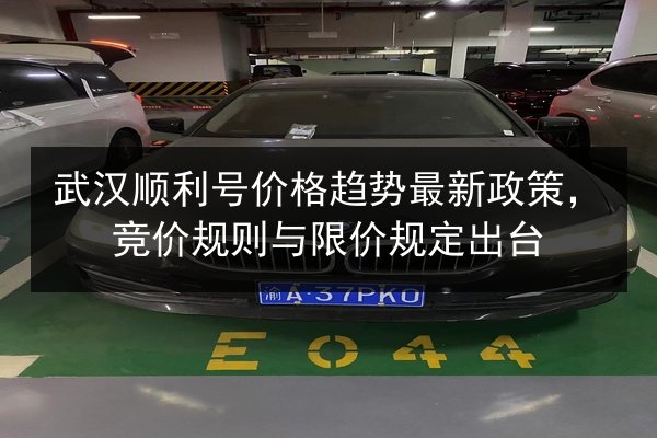 武汉顺利号价格趋势最新政策，竞价规则与限价规定出台 第2张