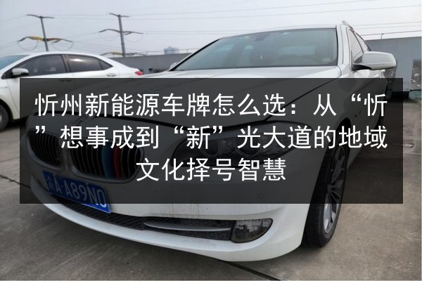 忻州新能源车牌怎么选:从“忻”想事成到“新”光大道的地域文化择号智慧 第2张 忻州新能源车牌怎么选:从“忻”想事成到“新”光大道的地域文化择号智慧 第2张
