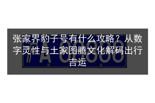 张家界豹子号有什么攻略？从数字灵性与土家图腾文化解码出行吉运 第2张