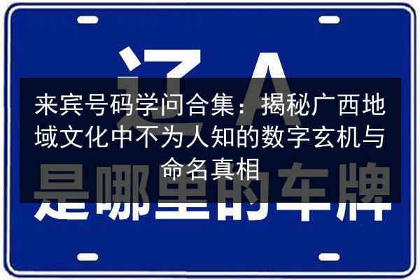 来宾号码学问合集：揭秘广西地域文化中不为人知的数字玄机与命名真相 第2张