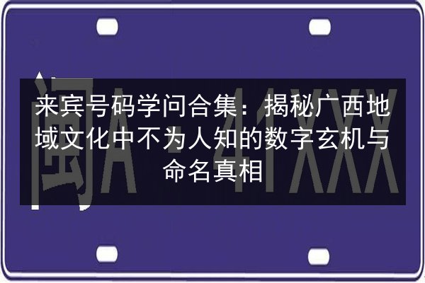 来宾号码学问合集：揭秘广西地域文化中不为人知的数字玄机与命名真相 第3张
