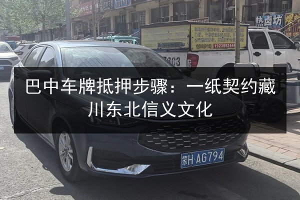 巴中车牌抵押步骤：一纸契约藏川东北信义文化 第2张