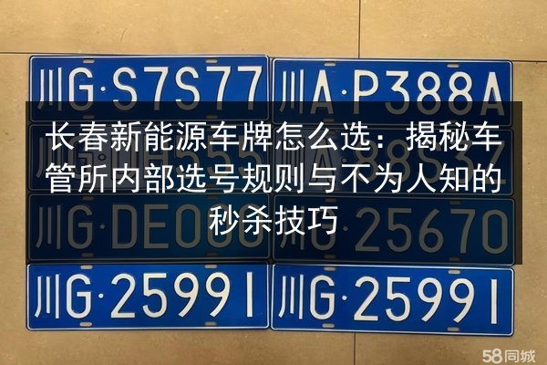 长春新能源车牌怎么选：揭秘车管所内部选号规则与不为人知的秒杀技巧