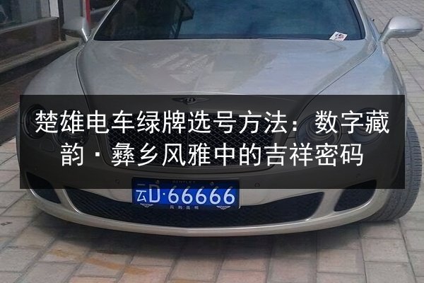 楚雄电车绿牌选号方法：数字藏韵·彝乡风雅中的吉祥密码 第2张