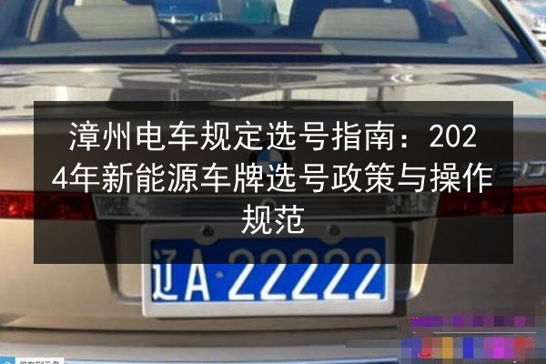 漳州电车规定选号指南：2024年新能源车牌选号政策与操作规范 第2张