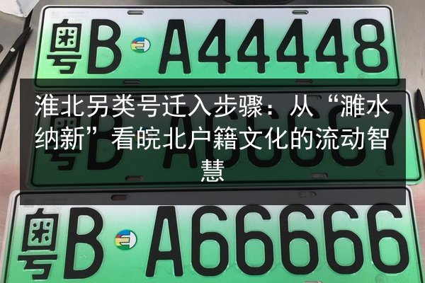 淮北另类号迁入步骤：从“濉水纳新”看皖北户籍文化的流动智慧 第3张