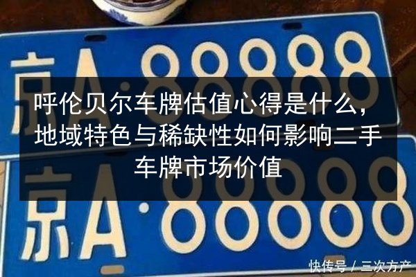 呼伦贝尔车牌估值心得是什么，地域特色与稀缺性如何影响二手车牌市场价值