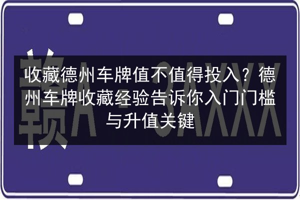 收藏德州车牌值不值得投入？德州车牌收藏经验告诉你入门门槛与升值关键