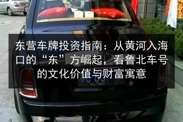 东营车牌投资指南：从黄河入海口的“东”方崛起，看鲁北车号的文化价值与财富寓意 第2张