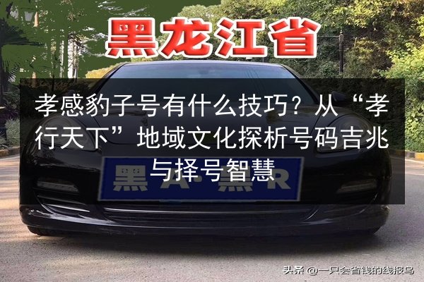 孝感豹子号有什么技巧？从“孝行天下”地域文化探析号码吉兆与择号智慧