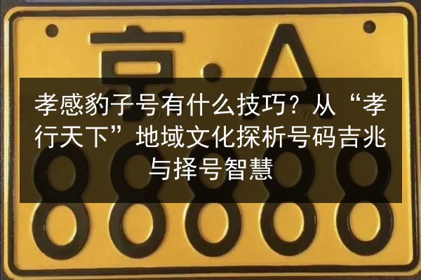 孝感豹子号有什么技巧？从“孝行天下”地域文化探析号码吉兆与择号智慧 第3张