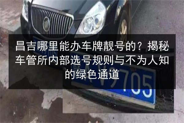 昌吉哪里能办车牌靓号的？揭秘车管所内部选号规则与不为人知的绿色通道