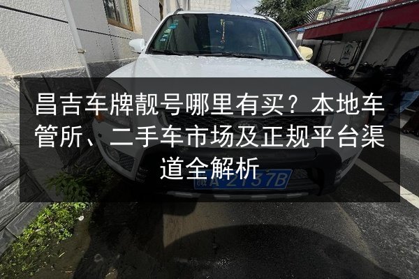 昌吉车牌靓号哪里有买？本地车管所、二手车市场及正规平台渠道全解析 第2张