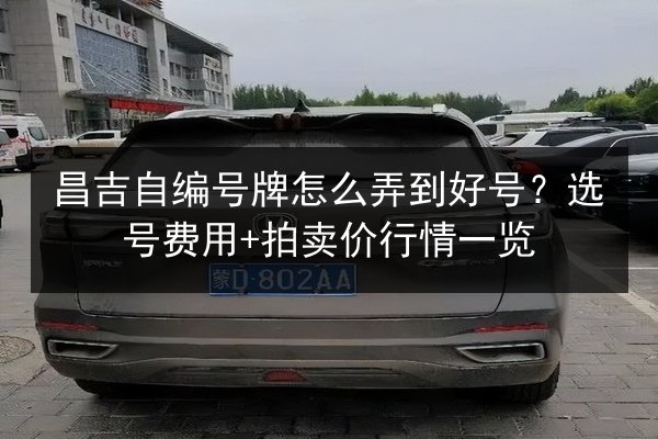 昌吉自编号牌怎么弄到好号？选号费用+拍卖价行情一览 第2张