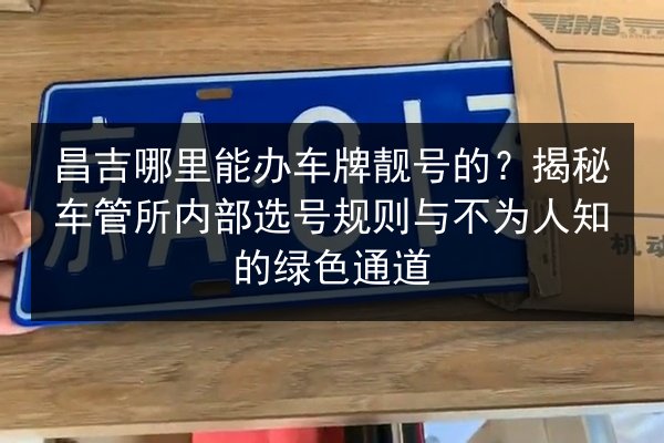 昌吉哪里能办车牌靓号的？揭秘车管所内部选号规则与不为人知的绿色通道 第2张