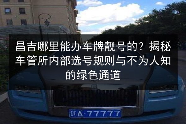 昌吉哪里能办车牌靓号的？揭秘车管所内部选号规则与不为人知的绿色通道 第3张