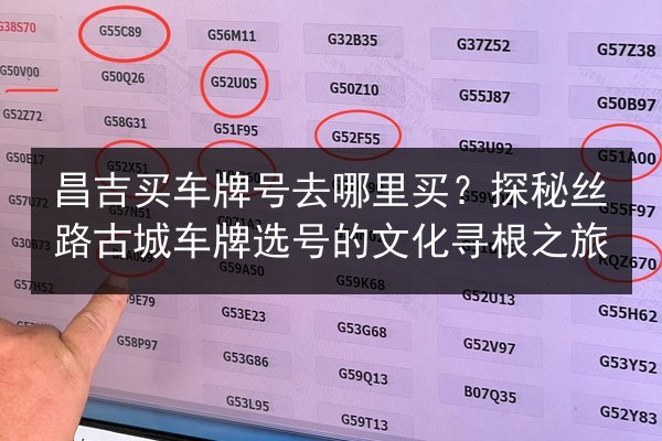 昌吉买车牌号去哪里买？探秘丝路古城车牌选号的文化寻根之旅 第3张