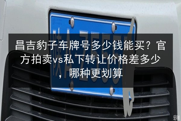 昌吉豹子车牌号多少钱能买?官方拍卖vs私下转让价格差多少,哪种更划算 第2张 昌吉豹子车牌号多少钱能买?官方拍卖vs私下转让价格差多少,哪种更划算 第2张