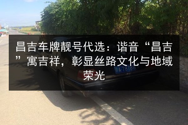 昌吉车牌靓号代选:谐音“昌吉”寓吉祥,彰显丝路文化与地域荣光 第3张 昌吉车牌靓号代选:谐音“昌吉”寓吉祥,彰显丝路文化与地域荣光 第3张