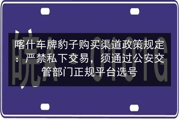 喀什车牌豹子购买渠道政策规定：严禁私下交易，须通过公安交管部门正规平台选号 第2张