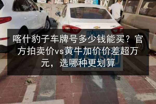 喀什豹子车牌号多少钱能买?官方拍卖价vs黄牛加价价差超万元,选哪种更划算 第3张 喀什豹子车牌号多少钱能买?官方拍卖价vs黄牛加价价差超万元,选哪种更划算 第3张