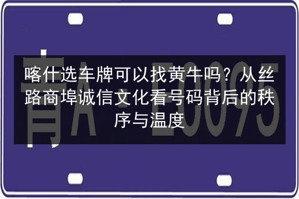 喀什选车牌可以找黄牛吗？从丝路商埠诚信文化看号码背后的秩序与温度 第3张