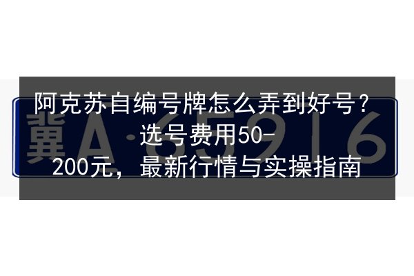 阿克苏自编号牌怎么弄到好号？选号费用50-200元，最新行情与实操指南