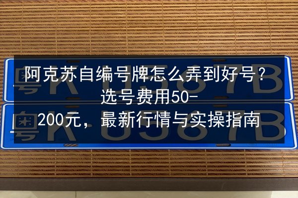 阿克苏自编号牌怎么弄到好号？选号费用50-200元，最新行情与实操指南 第2张