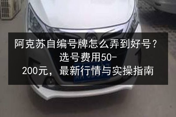 阿克苏自编号牌怎么弄到好号？选号费用50-200元，最新行情与实操指南 第3张