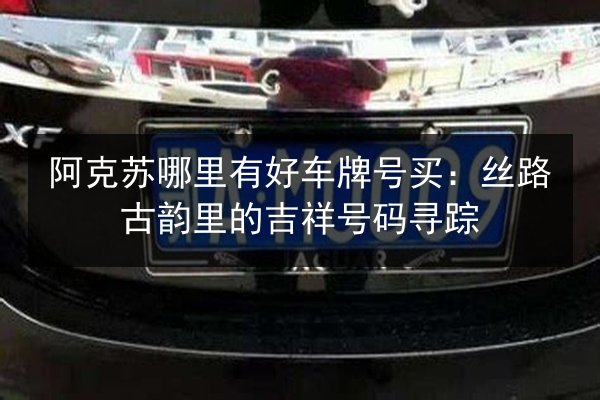 阿克苏哪里有好车牌号买：丝路古韵里的吉祥号码寻踪 第1张