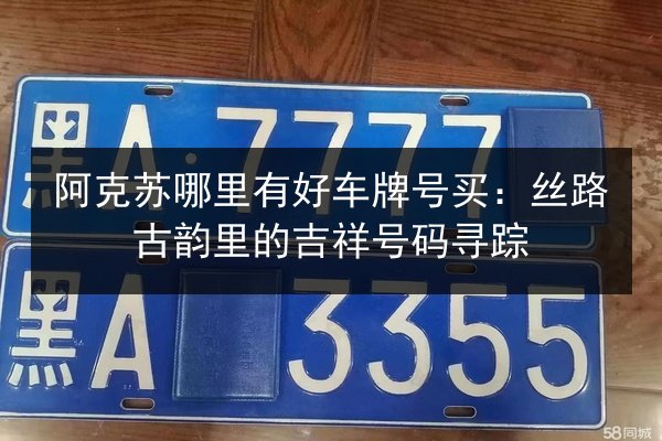 阿克苏哪里有好车牌号买：丝路古韵里的吉祥号码寻踪 第2张
