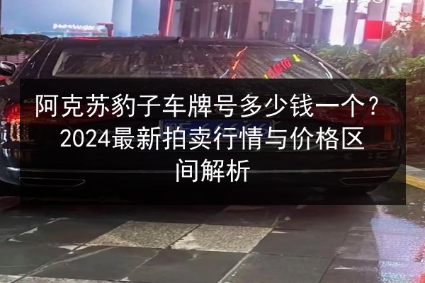 阿克苏豹子车牌号多少钱一个？2024最新拍卖行情与价格区间解析