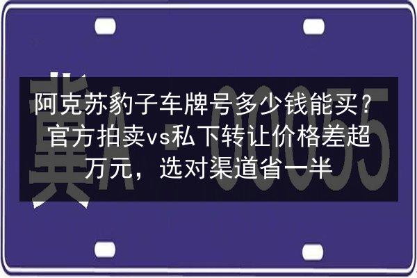 阿克苏豹子车牌号多少钱能买?官方拍卖vs私下转让价格差超万元,选对渠道省一半 第2张 阿克苏豹子车牌号多少钱能买?官方拍卖vs私下转让价格差超万元,选对渠道省一半 第2张