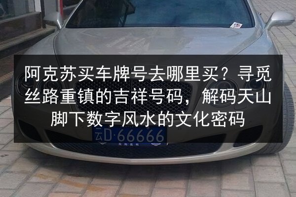 阿克苏买车牌号去哪里买？寻觅丝路重镇的吉祥号码，解码天山脚下数字风水的文化密码 第2张