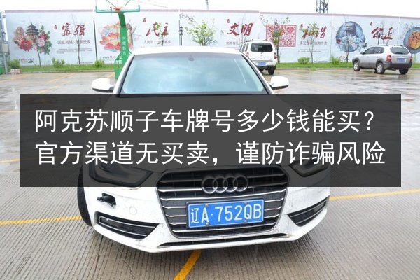 阿克苏顺子车牌号多少钱能买？官方渠道无买卖，谨防诈骗风险 第3张