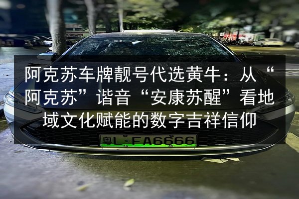 阿克苏车牌靓号代选黄牛:从“阿克苏”谐音“安康苏醒”看地域文化赋能的数字吉祥信仰 第2张 阿克苏车牌靓号代选黄牛:从“阿克苏”谐音“安康苏醒”看地域文化赋能的数字吉祥信仰 第2张